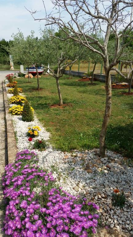 Rozi * Umag